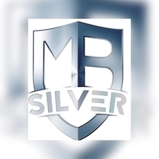 MB SILVER IMPEX SRL