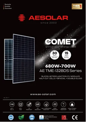 Photovoltaikmodul AE Solar AE700TME-132BDS 700W Silber