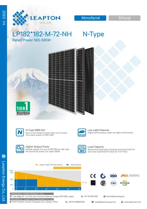 Fotovoltaisk modul Leapton LP182*182-M-72-NH 570 570W Fuld sort