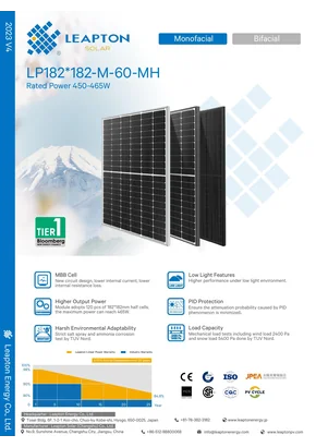 Fotovoltaisk modul Leapton LP182*182-M-60-MH 460 460W Sort
