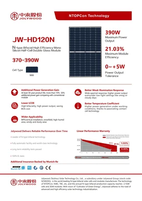 Módulo fotovoltaico Jolywood JW-HD120N 390 390W Negro