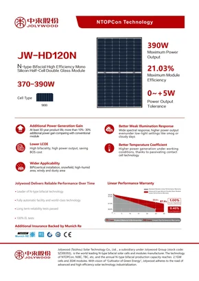 Φωτοβολταϊκό μονάδα Jolywood JW-HD120N 385 385W Ασήμι