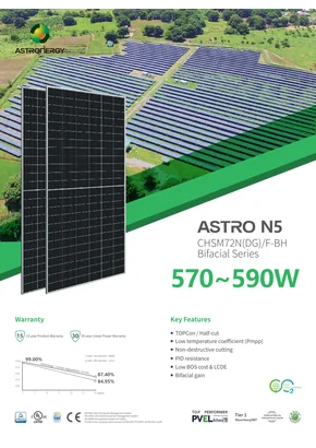 Photovoltaic module Astronergy CHSM72N(DG)/F-BH 580W 580W Silver
