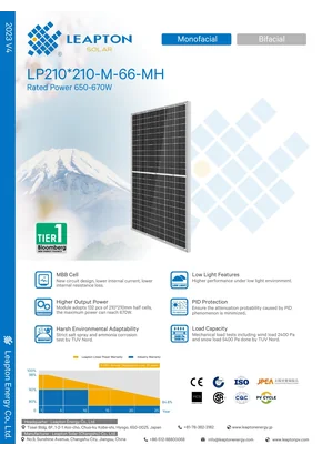 Photovoltaic module Leapton LP210*210-M-66-MH 665 665W