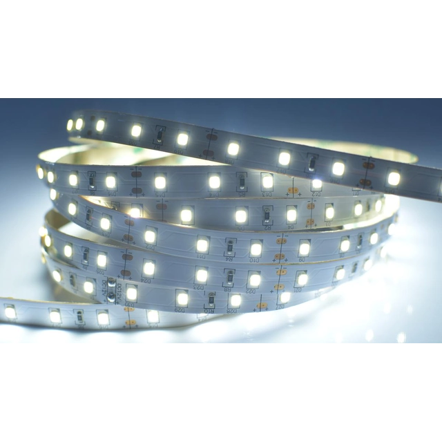 Ecolite DX-60SMD-6000/25M LED strip 12W/m indoor cool white 12V