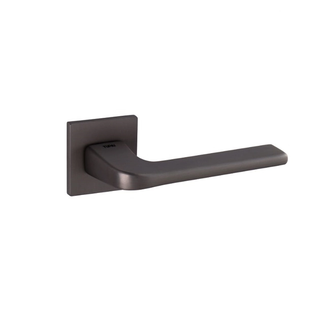 Door handle (pair) 4007 Q5S Titanium