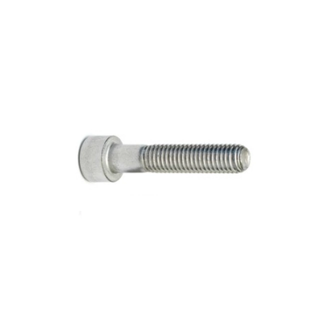 Allen screw M8x25 stainless