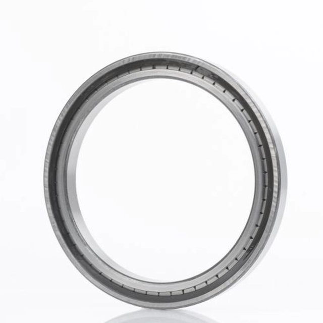 Cylindrical roller bearing SL181876 -C3 380x480x46