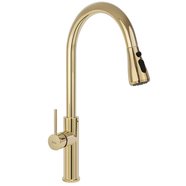 Rea Nest Gold kitchen faucet