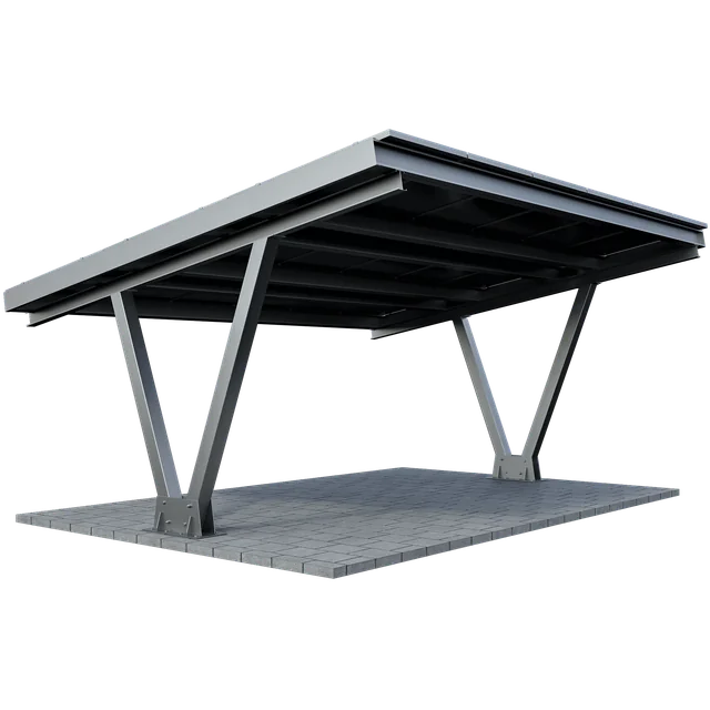 CarPort CPU2 - 2 cars