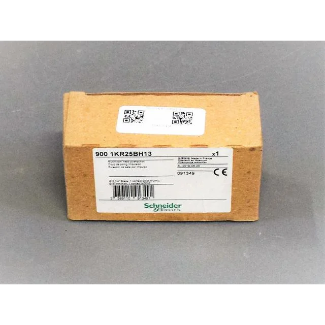 9001KR25BH13 Schneider Electric - New Factory Sealed