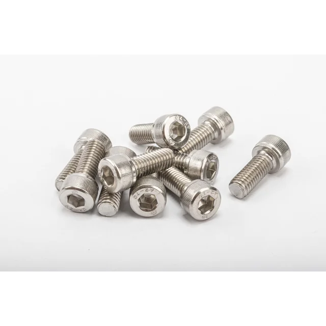 Stainless steel Allen screw M8x20