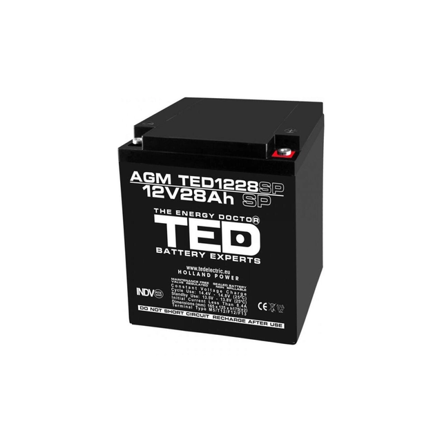 Accumulateur AGM VRLA 12V 28A dimensions spéciales 165mm x 125mm x h 175mm M6 TED Battery Expert Holland TED003430 (1)