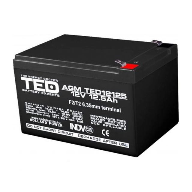 AGM VRLA akku 12V 12,5A koko 151mm x 98mm xh 95mm F2 TED Battery Expert Holland TED002754 (4)