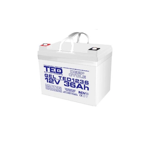 AGM VRLA batteri 12V 36A GEL Deep Cycle 195mm x 128mm xh 155mm M6 TED batteriekspert Holland TED003386 (1)