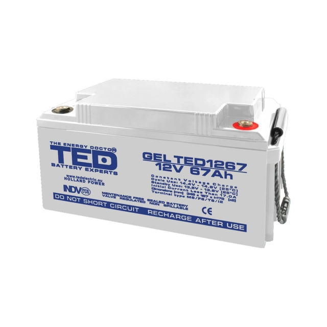 Akumulator AGM VRLA 12V 67A GEL Deep Cycle 350mm x 166mm x h 176mm M6 TED Battery Expert Holland TED003461 (1)