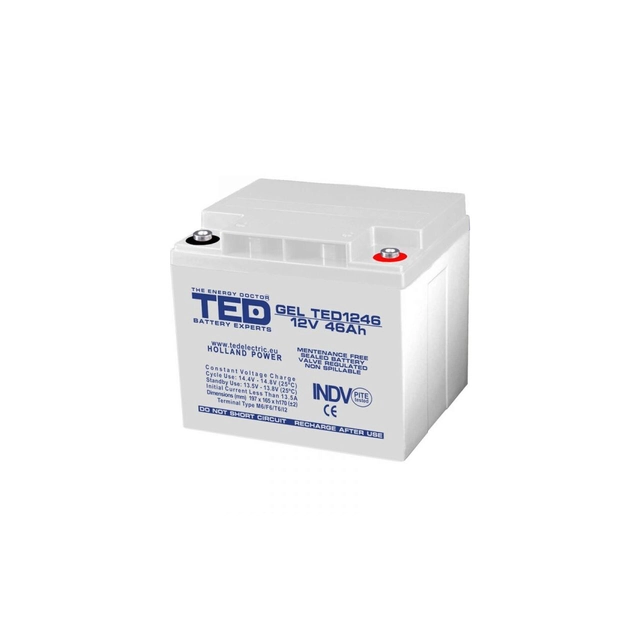 Akumulators AGM VRLA 12V 46A GEL dziļais cikls 197mm x 166mm x h 171mm M6 TED Battery Expert Holland TED003454 (1)