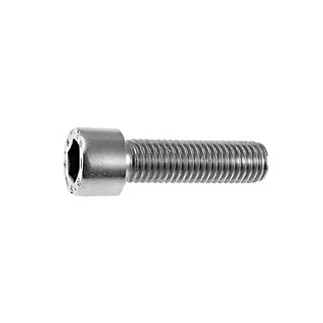 Allen screw / Allen screw for DIN terminals 912 8x20 A2 AISI304