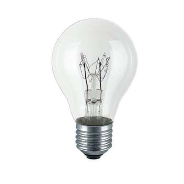 Ampoule haute température ReinfC 100W E27 A65 230V