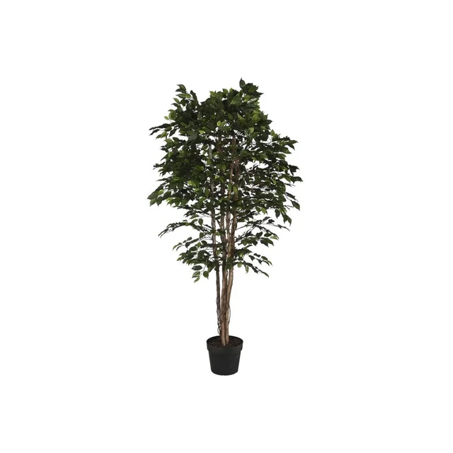 Árbol Hogar ESPRIT Polietileno Ficus 100 x 100 x 210 cm