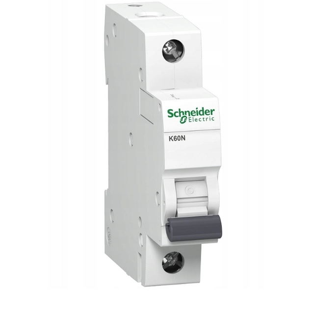 Автоматичен прекъсвач Schneider Electric A9K01110