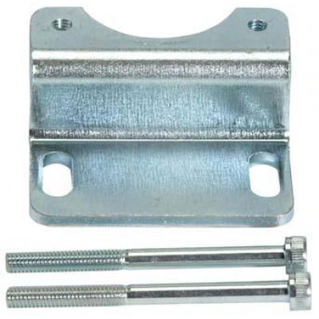 Multifix holding bracket and 2 BG3 Riegler screws