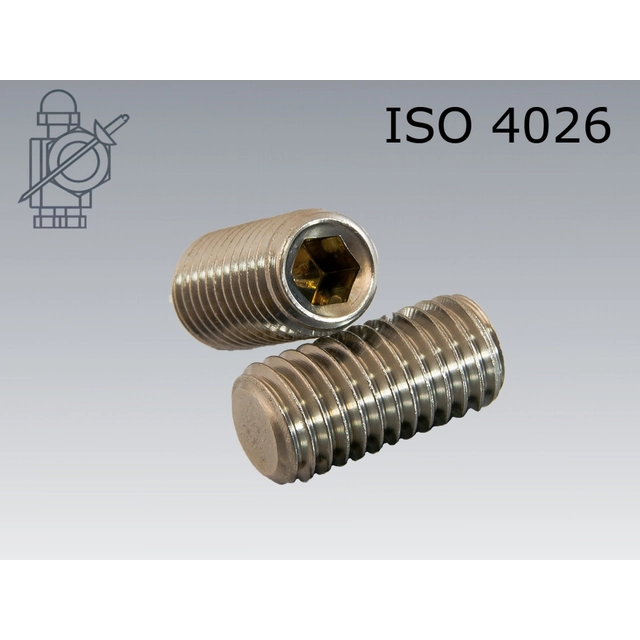 Screws Set screws M10x20 ISO4027