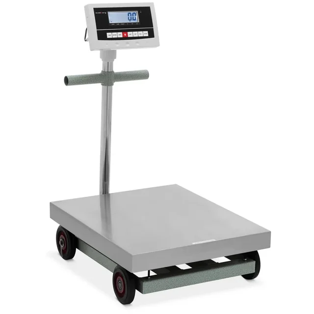 Báscula de plataforma con conteo preciso 600kg/100g LCD | SBS-PF-600/100N