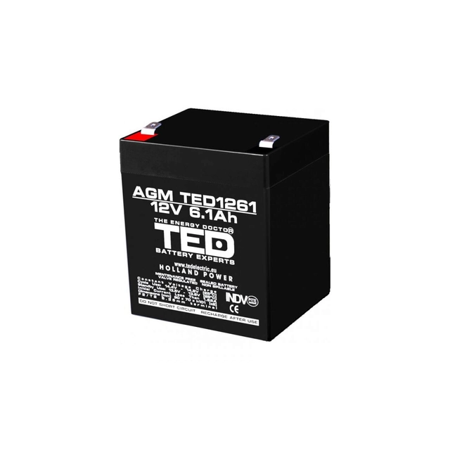 Batería AGM VRLA 12V 6,1A dimensiones 90mm x 70mm x h 98mm F2 TED Battery Expert Holland TED003171 (10)