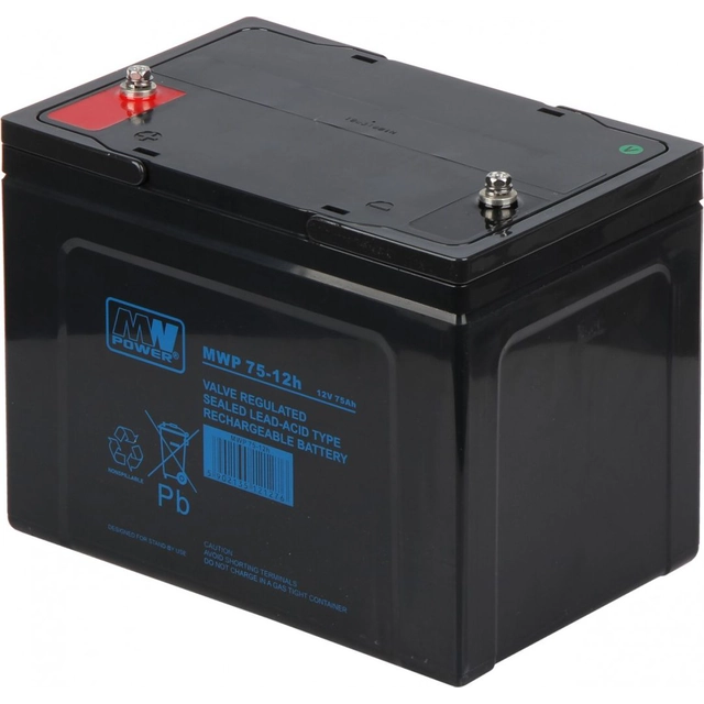 Bateria de potência MW 12V 75Ah (MWP 75-12)