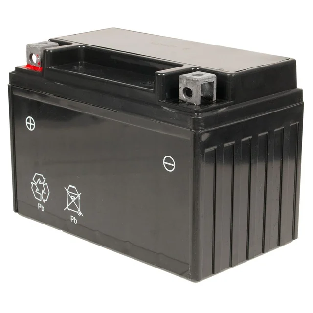 Batterie 45 Ah Générateur Diesel Cedrus CEDDG12E-3F 700763