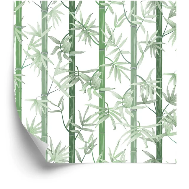 Beau papier peint en bambou vert