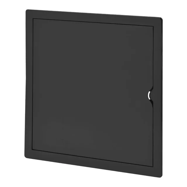 Black inspection door 30/30