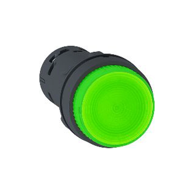 Botão de controle Schneider Electric 22mm verde com retorno por mola com luz de fundo 1Z (XB7NW33B1)