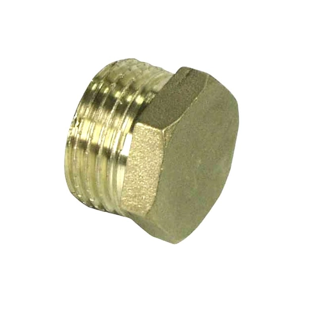 brass plug 2 "(DN50) external thread