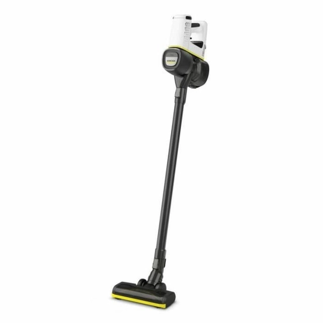 Brosse aspirateur Kärcher VC 4 sans fil Myhome Pet