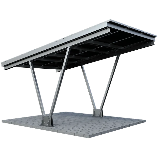 CarPort CPU1 - 1 automobilis