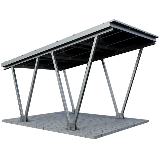 CarPort CPW1 - 1 voiture