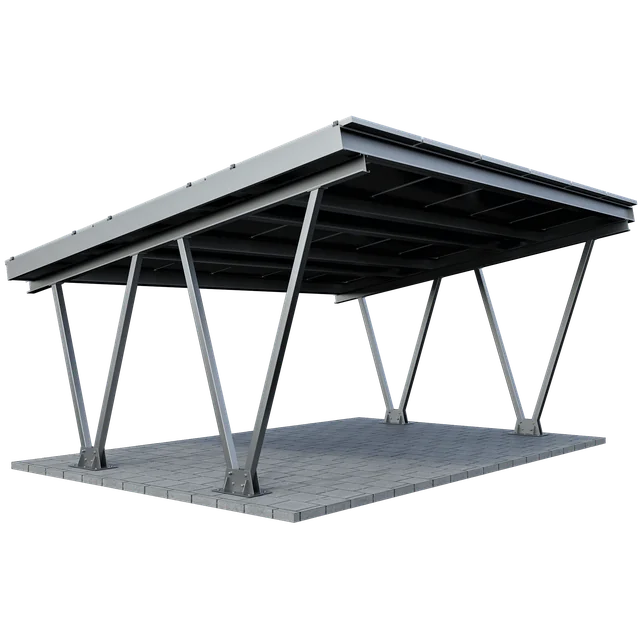 CarPort CPW2 - 2 voitures