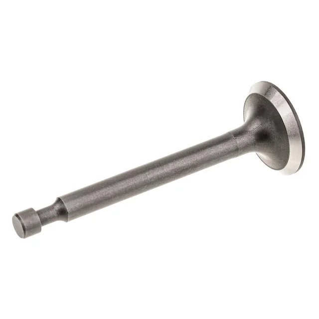 Cedrus Intake Valve Y139V 480368