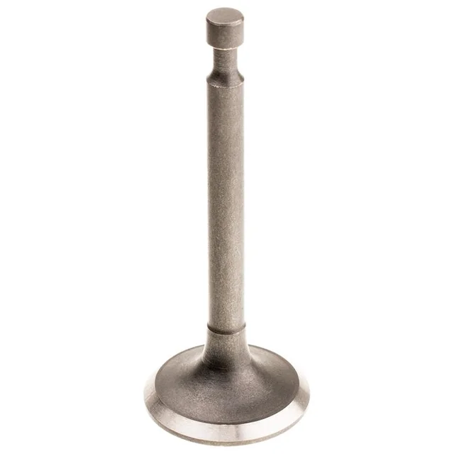 Cedrus Intake Valve Y196V 480485