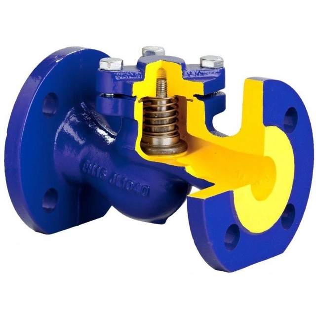 check valve FIG.287/31 DN 32 Mon 16