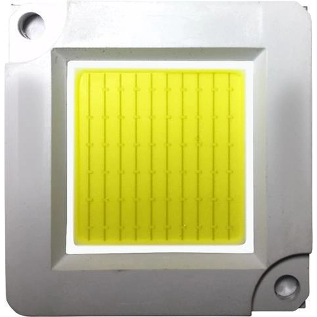 Chip COB a diodi LED LEDsviti per faretto 30W luce diurna (3309)