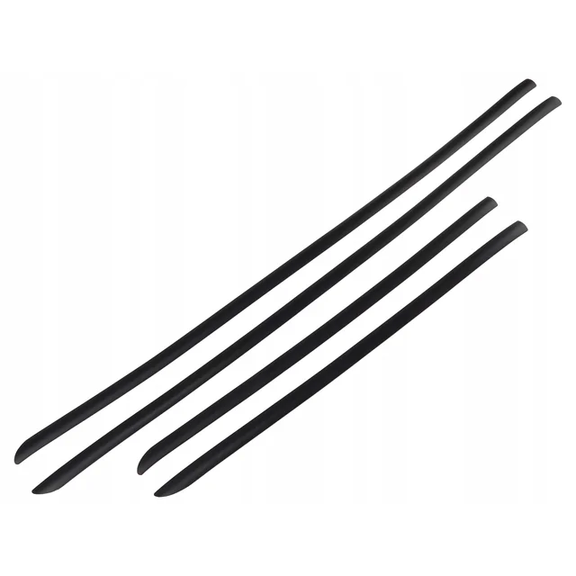 Citroen C4 II BLACK Side Door Protective Strips