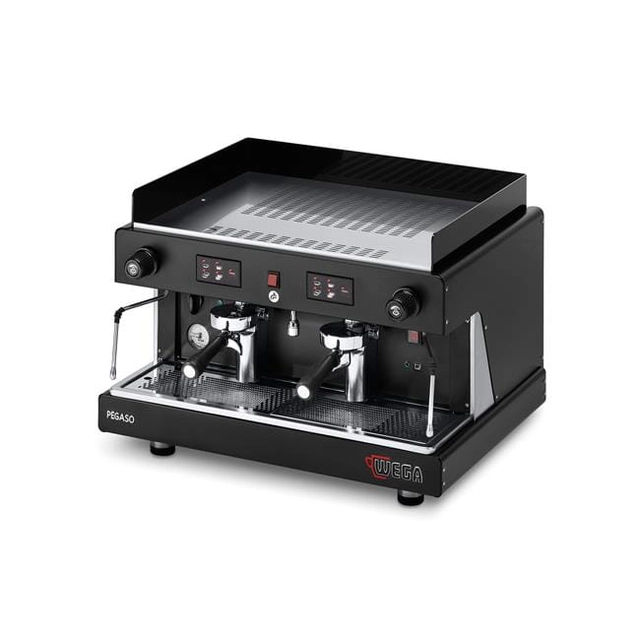 Coffee machine PEGASO 2-group electronic EVD2PG