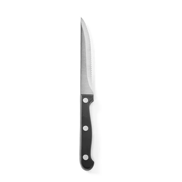 Coltello da bistecca 250 mm