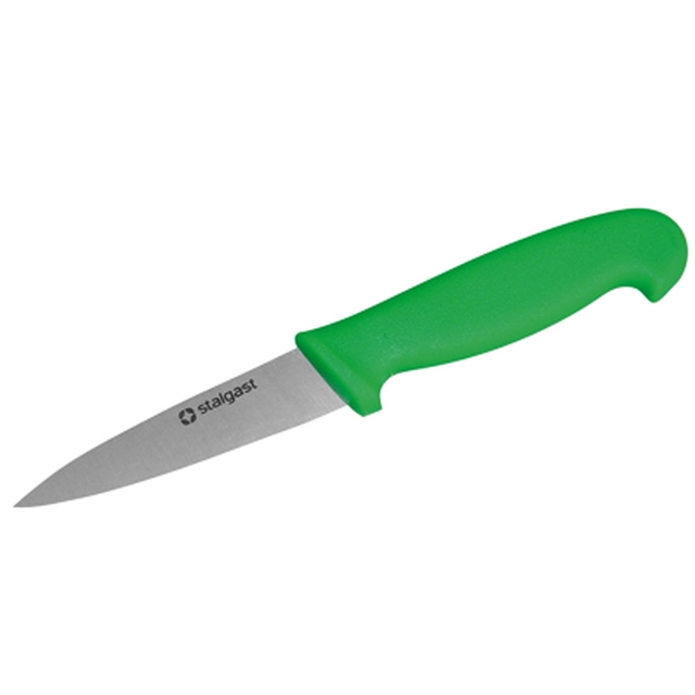 Coltello per pelare verdure / 100 mm 284102