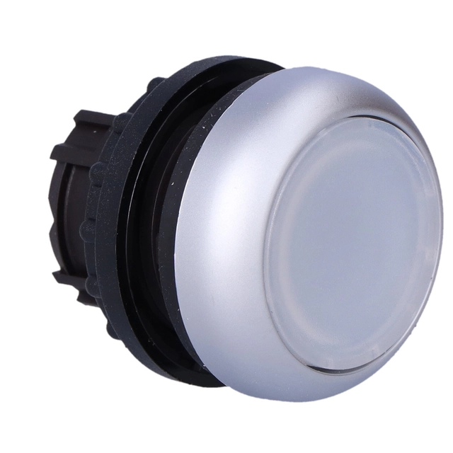 Conducir M22-DL-W pulsador blanco plano retroiluminado con retorno momentáneo