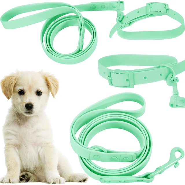 Correa y collar para perros PJ-069 verde S