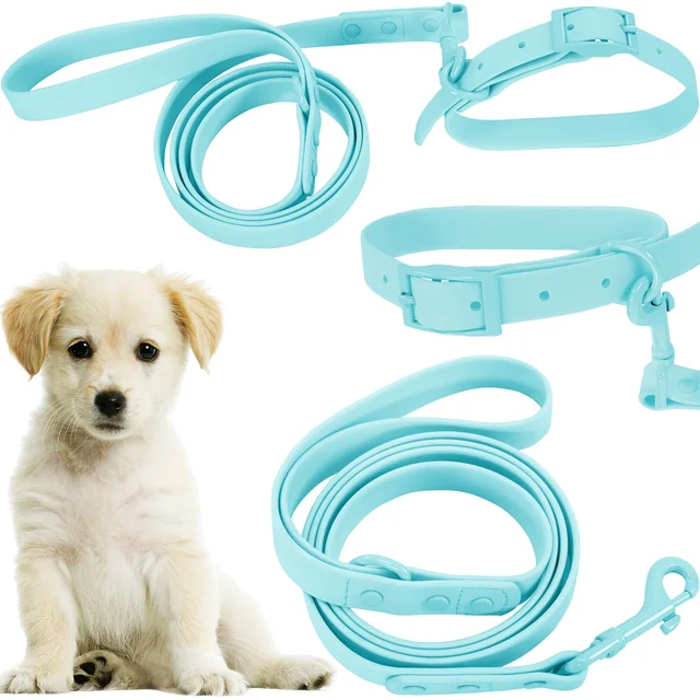 Correa y collar para perros PJ-070 azul S